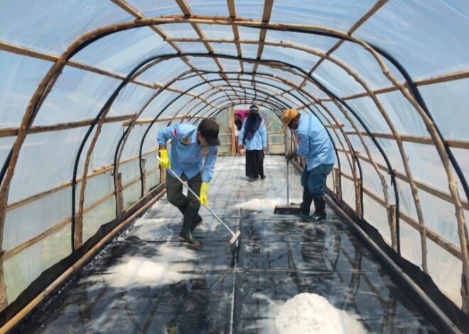 Sosok Subhan Somola, PNS Pemda Halteng di Balik Suksesnya Tambak Garam Pertama Maluku Utara
